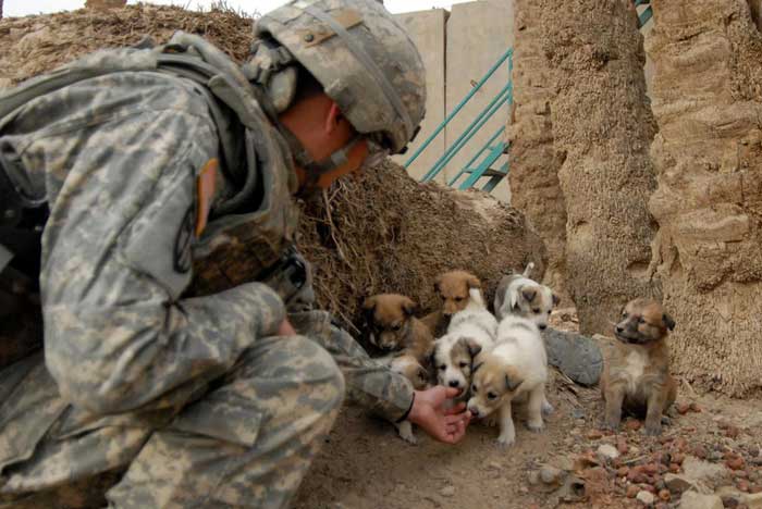 soldier-with-puppies